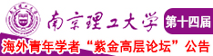 日韩欧美扣逼南京理工大学第十四届海外青年学者紫金论坛诚邀海内外英才！